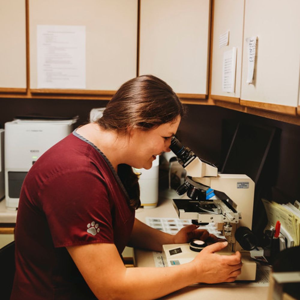 Bluestem Animal Clinic photo 11