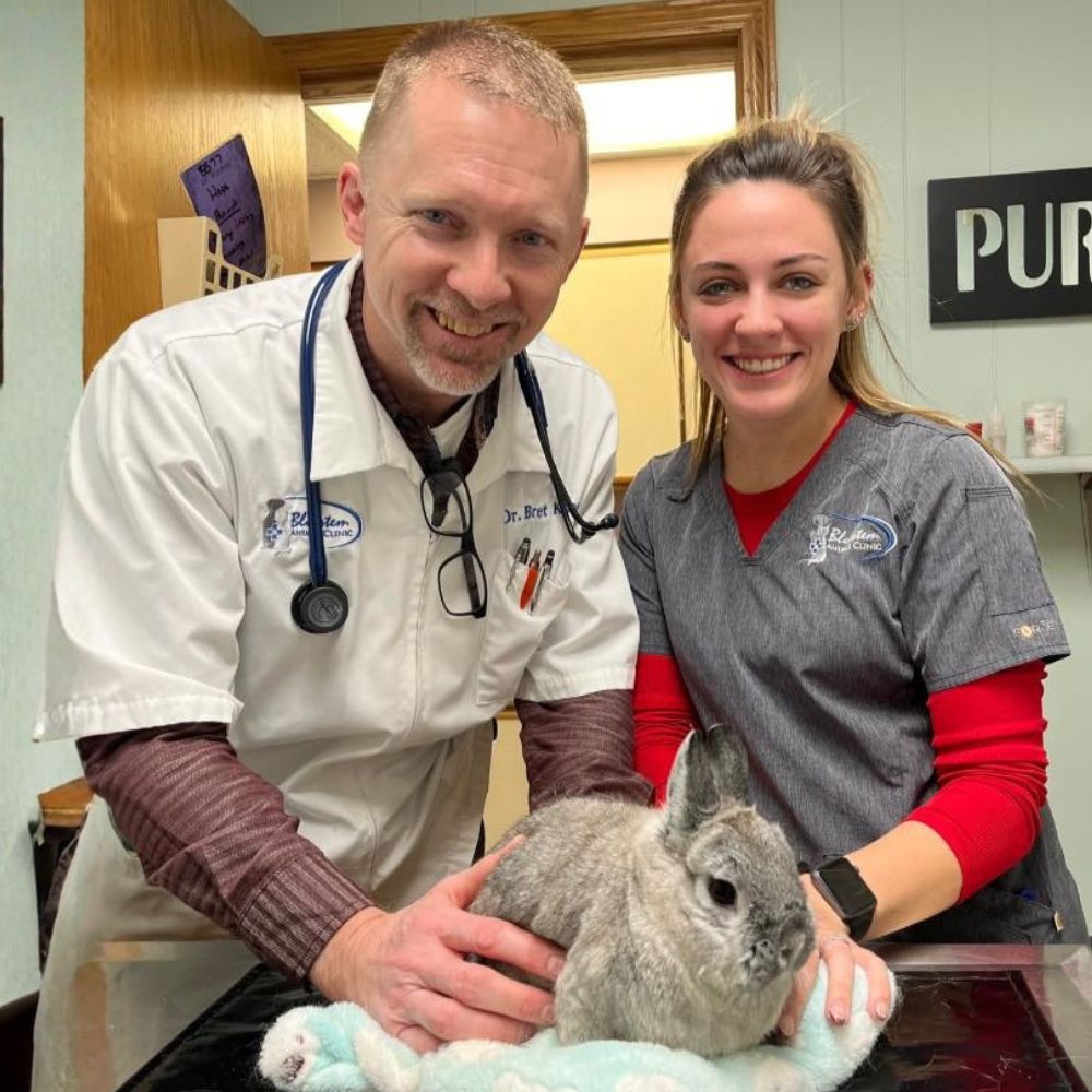 Veterinarian and staff member with a rabbit on exam table