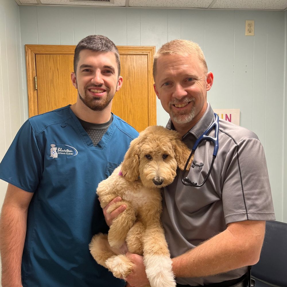 Two veterinary team members holding a curly-haired puppy