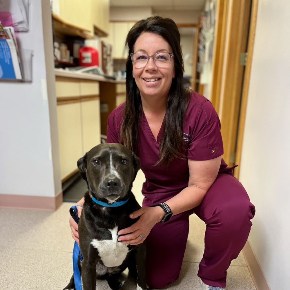 Veterinary staff member kneeling beside a black dog