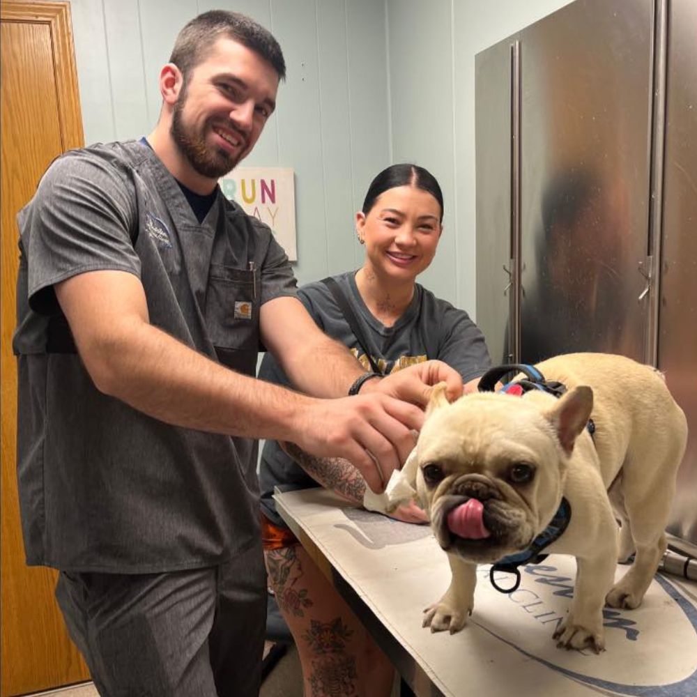 Two veterinary staff members with a French bulldog on exam table