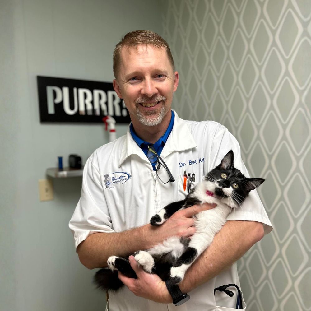 Veterinarian holding a black and white cat in exam room
