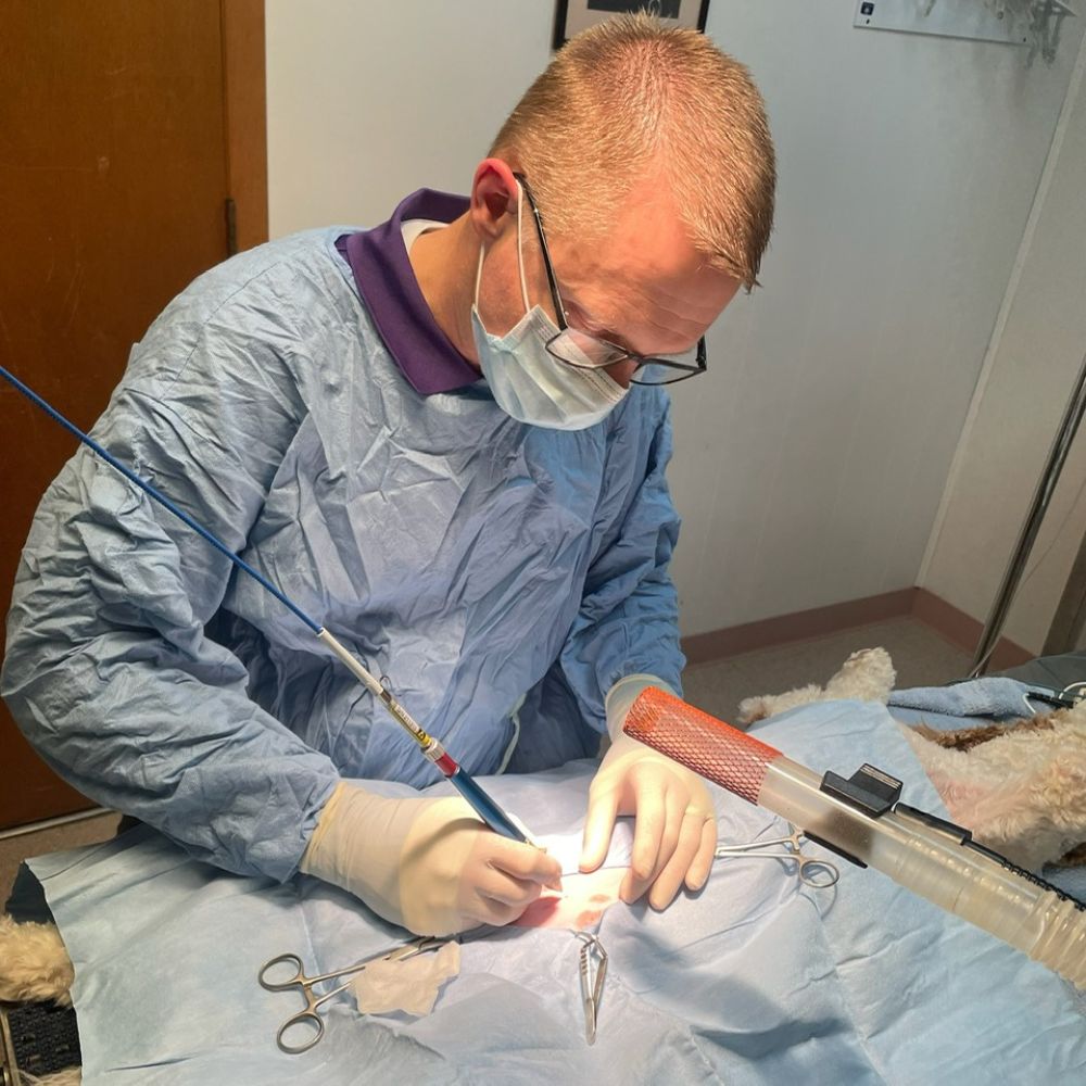 Veterinarian performing laser surgery on a pet