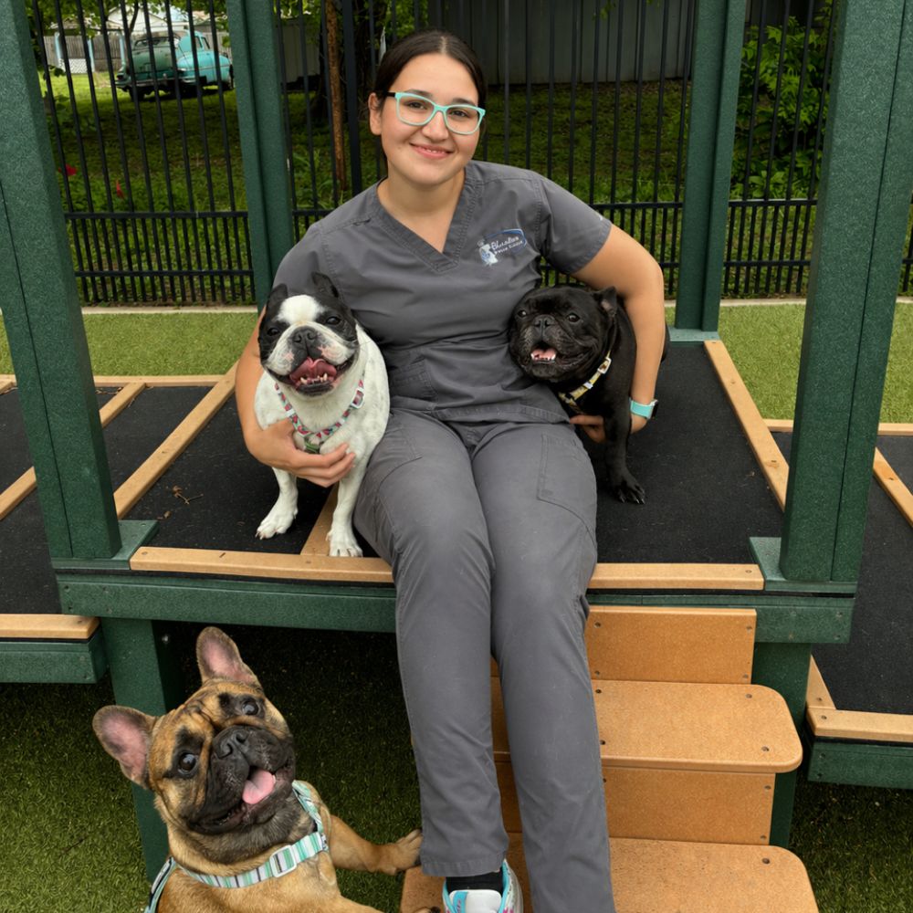 Raegan Frenchies
