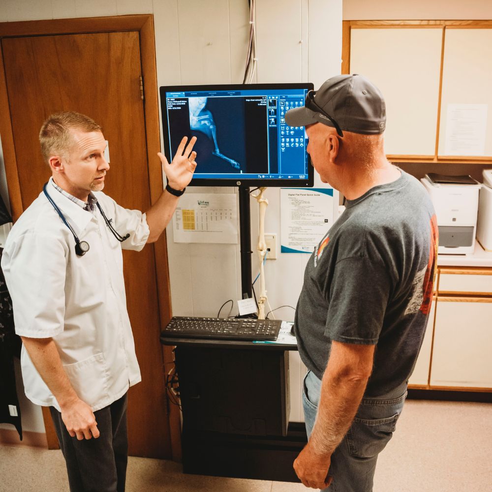 Vet showing pet X-ray to client